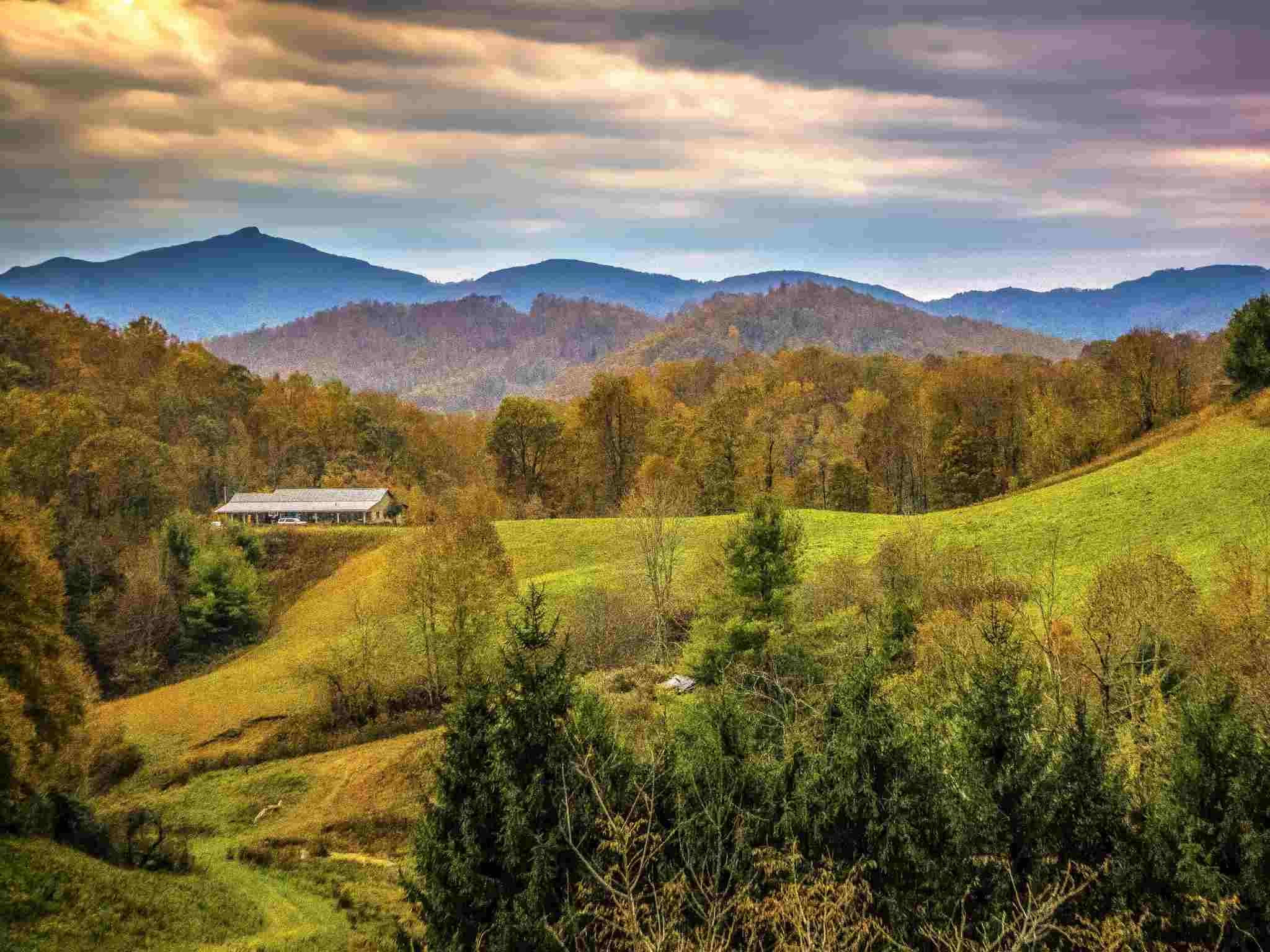 10 Best Ayahuasca Retreat Centers near USA (Updated 2025)